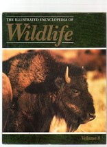 The Illustrated Encyclopedia Of Wildlife Volume 8 Mammals - £3.09 GBP