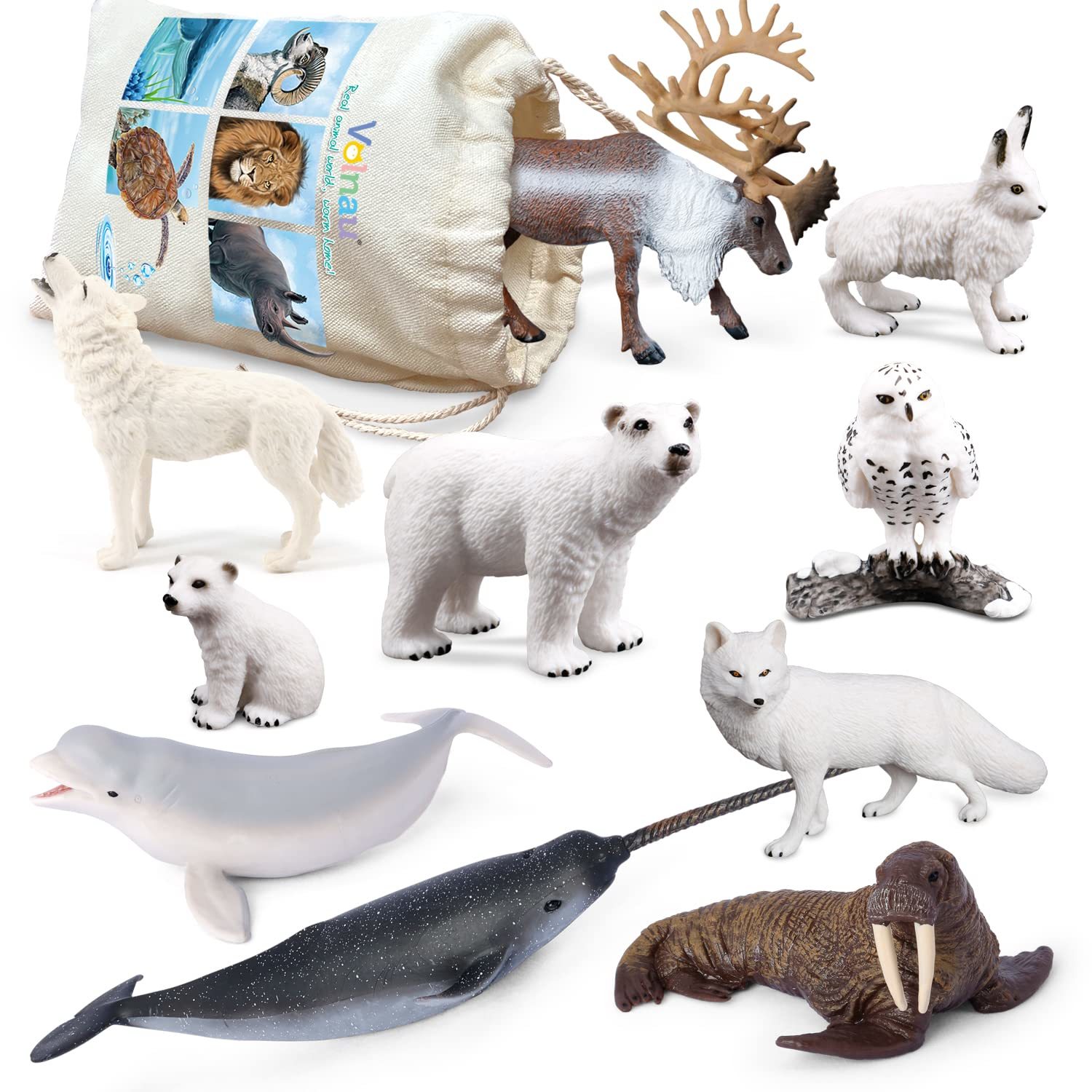 Sea Creature Toys Figures 9Pcs Arctic Circle Ocean Animals Figurines For Toddler