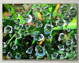 Water Drops, Abstract Nature Art, Macro Fine Art Photo on Metal, Canvas or Paper - £24.89 GBP+