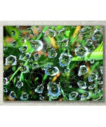 Water Drops, Abstract Nature Art, Macro Fine Art Photo on Metal, Canvas ... - $586.90 MXN+
