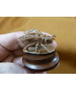 (tb-ins-1-1) tan House Fly Tagua NUT figurine Bali detailed insect carvi... - £34.20 GBP