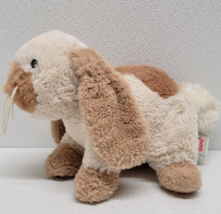 Webkinz Holland Lop Bunny Rabbit Plush Brown Cream Stuffed Animal HM632 No Code  - £18.38 GBP