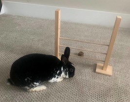 Bunny Rabbit Hopping Hurdle, Agility, Jump, and Chew Toy - £30.36 GBP