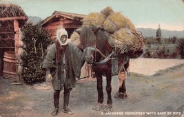 Japan Japon~Japanese Packhorse With Bags Of RICE~1904 Ellanbee Series Postcard - £4.41 GBP