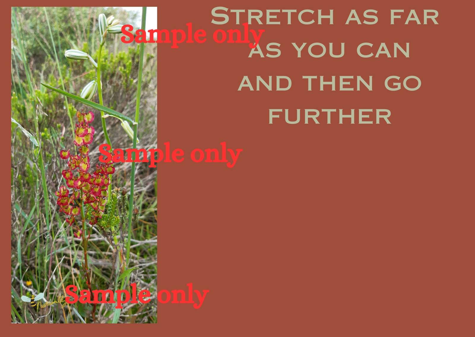 Stretch as far as you can motivational card with self art included as a ... - $1.30