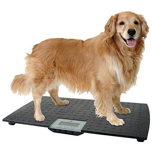 WC Redmon Precision Digital Pet Scales Professional Dog Groomer Vet Shelter - Ch