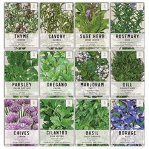 , Culinary Herb Seed Packet Collection (12 Individual Varieties Of Herb Seeds Fo - £15.72 GBP