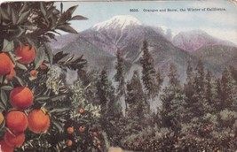 CA California Anomaly Oranges and Snow in Winter Postcard E06 - £2.42 GBP