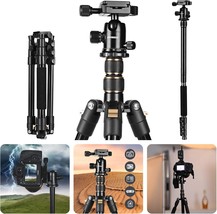 Camera Lightweight Travel Tripod, 58” Detachable Monopod, Aluminum Ball Head - £69.40 GBP