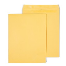 Staples Self-Sealing Catalog Envelopes 12&quot; x 15-1/2 Brown Kraft 100/Box 534826 - £50.35 GBP