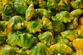 25 Flying Saucer Squash Seeds Planting US Seller Fast Shipping - £4.41 GBP