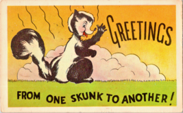 Postcard Comic Greeting Humor One Skunk to Another  Posted 1953 5.5 x 3.5 - $4.95