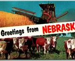 Doppio Vista Banner Greetings From Nebraska Ne Unp Cromo Cartolina J13 - $5.07