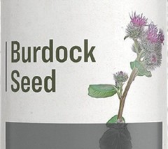 BURDOCK SEED - Traditional Chinese Skin, Respiratory &amp; Urinary Tract Ton... - £19.61 GBP