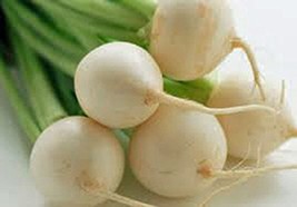 Radish Seed, Ping Pong Radish, White Round Radish, Heirloom, Non GMO, 5000 Seeds - £11.79 GBP