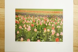 Tom Adams Photography Tulip Field Wooden Shoe Farm Oregon Photo Art 11X14 - £23.13 GBP