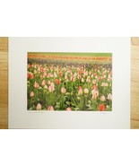 Tom Adams Photography Tulip Field Wooden Shoe Farm Oregon Photo Art 11X14 - £22.56 GBP