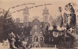Mankato State Normal School Minnesota MN Owls Cats Real Photo RPPC Postcard D32 - £6.38 GBP