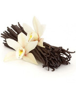 Vanilla-Infused oil 100ml - $757.03 MXN