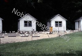 1962 Rural Scene, Chicken Coups Farm Ektachrome 35mm Slide - $3.96