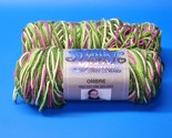 I Love This Yarn! #505 SUMMER HAPPENS Yarn Skeins - 100% Acrylic - Lot Of 2 - $17.59