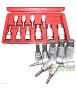 10Pc 3/8&quot; &amp; 1/2&quot; Drive SAE Heat Treated Hex Bit Socket w/Blow Case - €16,04 EUR