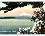 Mount Baker From Victoria British Columbia Canada UNP DB Postcard N22 - $4.90