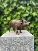 Standing Piglet – Bronze Sculpture. 25x8x12cm - 1.4Kg - $257.60 CAD