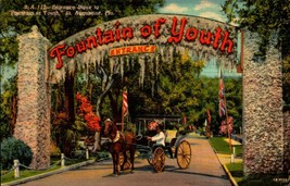 Entrance Drive Fountain Of Youth St Augustine Florida FL 1943 POSTCARD BK51 - £3.10 GBP