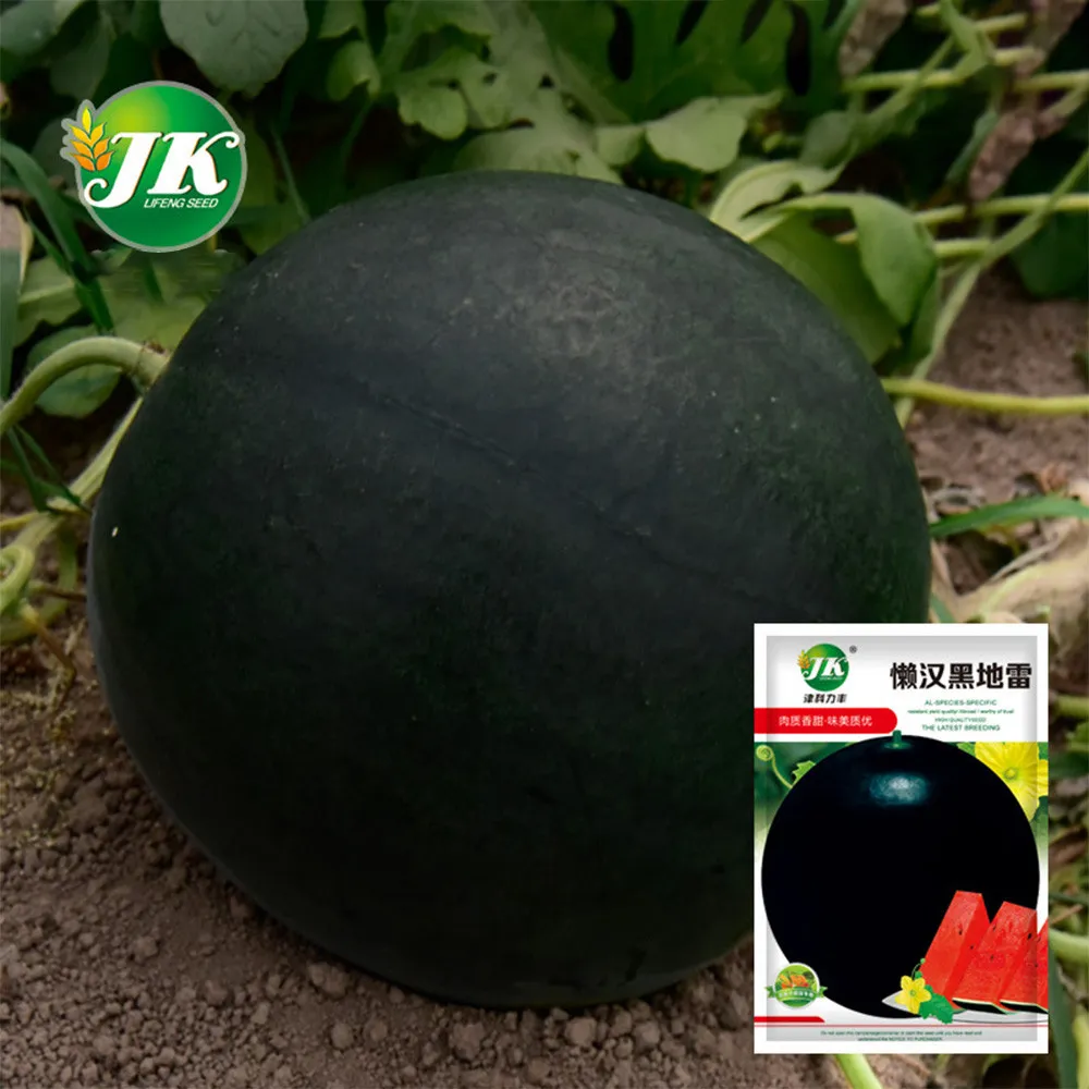5 Bags (25 Seeds / Bag) Black Landmine Watermelon Seeds ZZ-1041 - £22.33 GBP