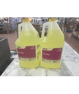2 Pack- Ecolab Eco-San Liquid Sanitizer 13979 6113979 - 1 Gallon In Each - $94.05