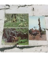 Vintage Postcard Lot Of 3 Walt Disney World Trapped Safari Frontierland ... - £15.49 GBP