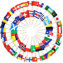Anley Assorted 100 Different Countries Toothpick Flag Double Sided &amp; Smooth Pick - £8.47 GBP