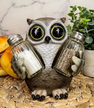 Ebros Whimsical Owlet Baby Owl W/ Big Round Eyes Glass Salt &amp; Pepper Sha... - $26.95