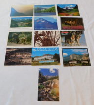 Alaska Colorado The Stanley Hotel State Park Postcards lot of 12 and 1 p... - $29.69