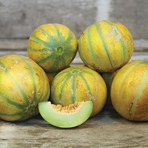AD 40 Israeli Ha&#39;Ogen Melon Seeds Exceptionally Sweet Unique Flavor Home... - $13.26