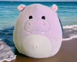 Squishmallow Hannah the Hippopotamus Purple 8” NWT Purple Cuteness All Y... - £10.04 GBP