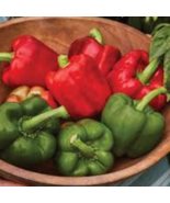 Heirloom Red Long Sharp Sweet Bell Pepper 20 PCS Seeds - $146.08 MXN