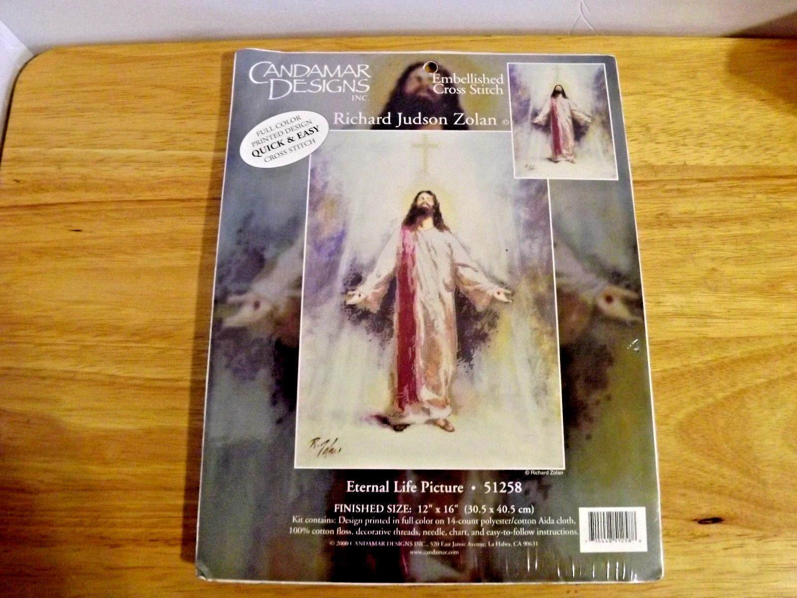 Candamar Designs Embellished Cross Stitch Kit Eternal Life Picture JESUS New - $22.76