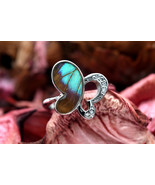 Navia Jewelry Butterfly Wings Doxocopa cherubina Silver Ring NR-11D-12 - $99.99