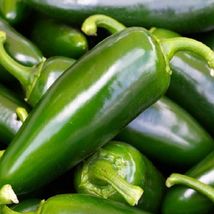 Best 25 of Tam Jalapeno Pepper Seeds (NON-GMO) Heirloom Fresh Garden - £3.02 GBP