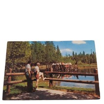 Postcard Kitch-Iti-Kippi Big Springs Manistique Michigan Chrome Unposted - £5.69 GBP