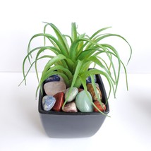 Faux Air Plant with Natural Polished Stones in Planter, Tumbled Rocks, Airplant image 2
