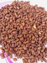 Synsepalum  dulcificum(Miracle fruit seeds), dried seeds for oil, medicinal, 200 - £26.09 GBP