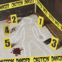 Police Crime Scene Kit Detective Murder Mystery Halloween Prop Party Decoration - $3.77