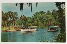 Jungle Cruise Silver Springs Boat Palms Florida Colourpicture Postcard c1960s - $4.99