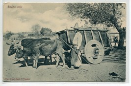 Ox Cart Peasant Farmer Farming Mexico 1910c postcard - £5.07 GBP