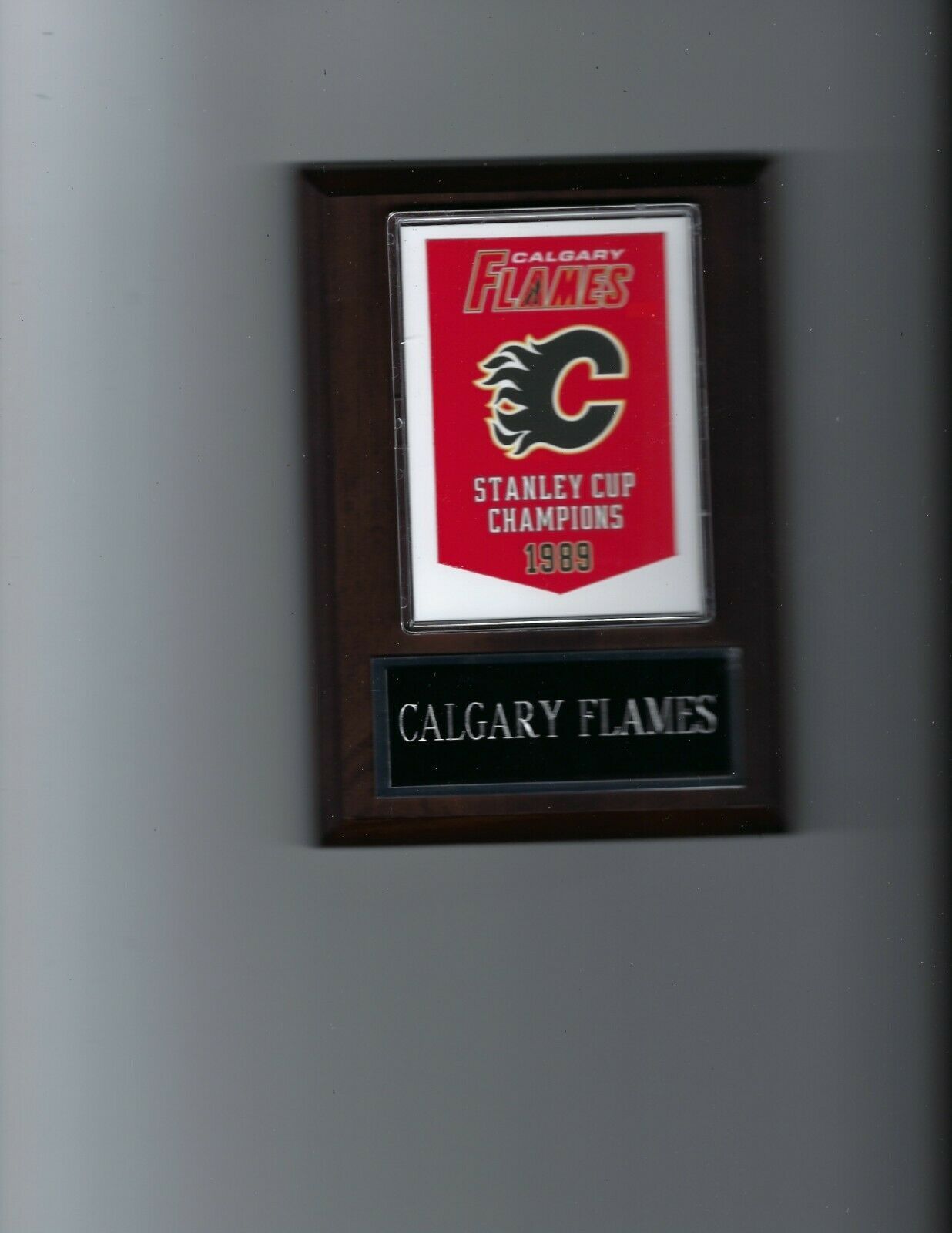 CALGARY FLAMES PLAQUE STANLEY CUP CHAMPIONS CHAMPS HOCKEY NHL - $4.94