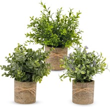 Pengyee Artificial Plant, 3 Pcs. Mini Plants Artificial Potted Set Fake Green - £31.63 GBP