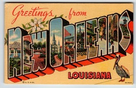 Greetings From New Orleans Louisiana Large Letter Postcard Linen Pelican 1954 - £9.86 GBP
